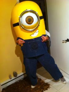 All photo credits to TheDrStep 2013.