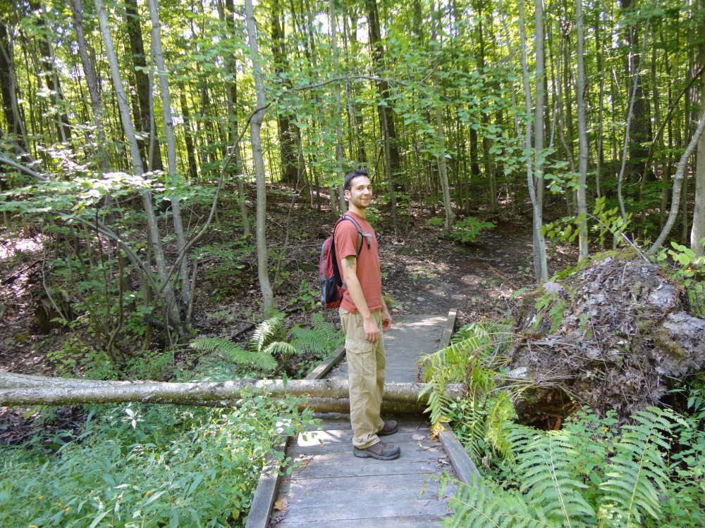 Sudden Tract has a Poison Sumac swamp - beautiful, if potentially dangerous! 
