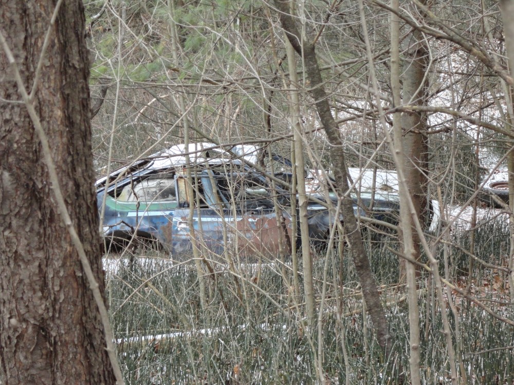 An abandoned car hiding along the trails. 
