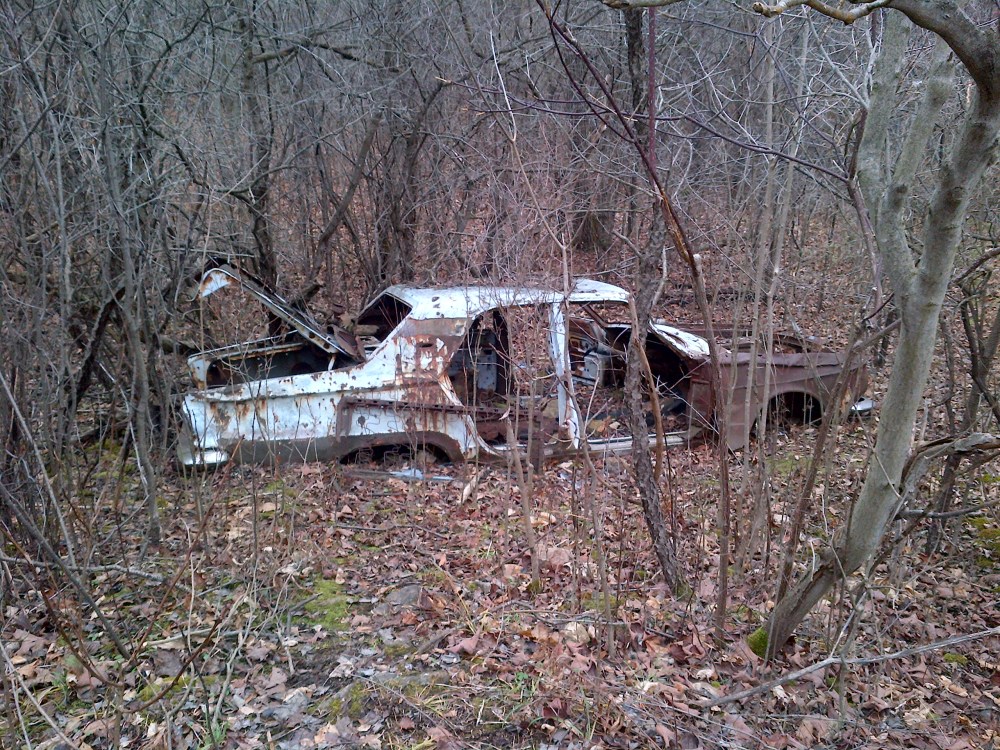 An old abandoned car in the forests of rare. 