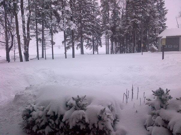 Piles of snow outside my window in Ethel, Ontario. 