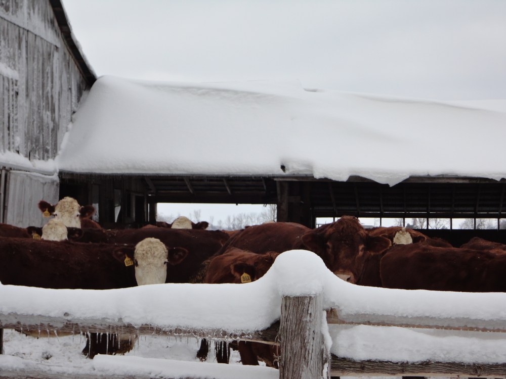 You may make new friends in your journeys. 