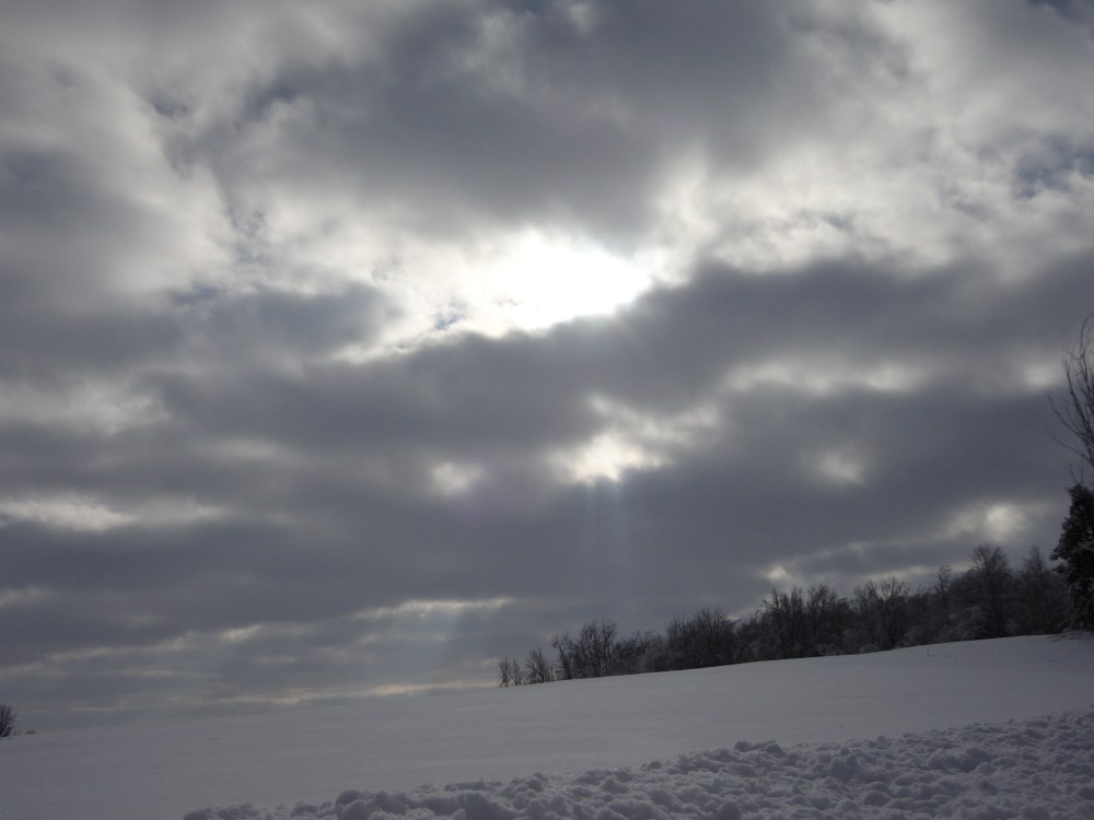 A contrast in shades.