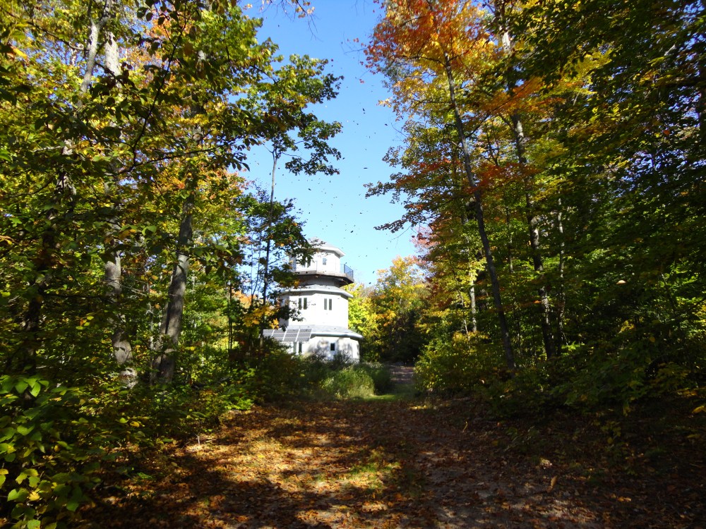 An observatory shrouded by trees.