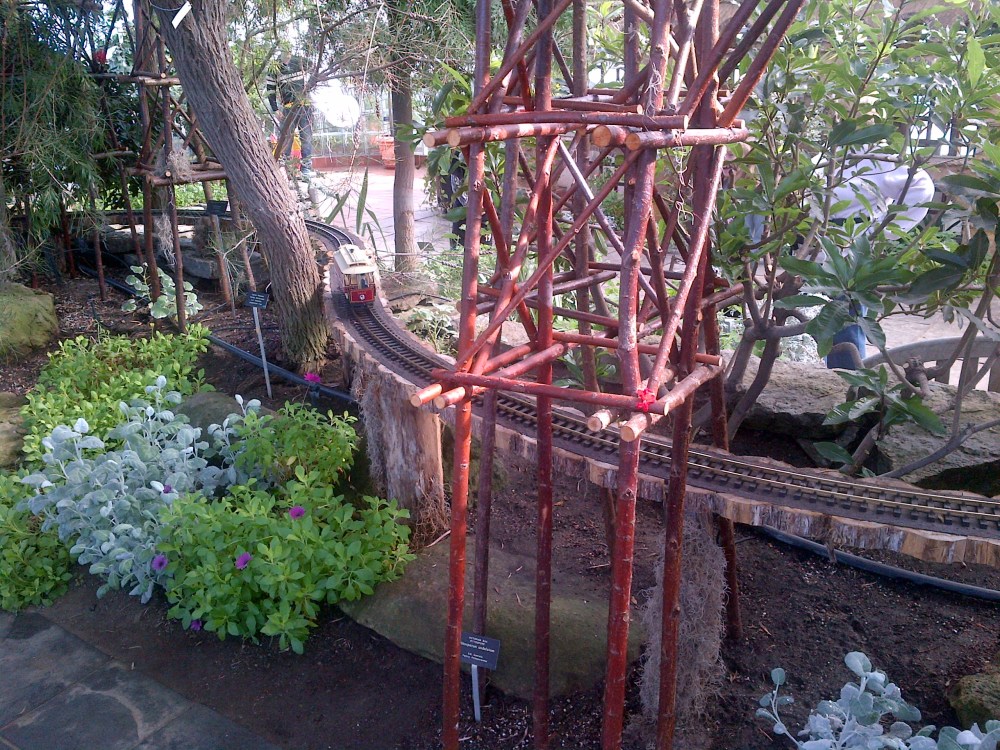 A closer view of the train. 