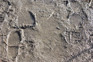 Photo credit to The Middle Generation 2014. 