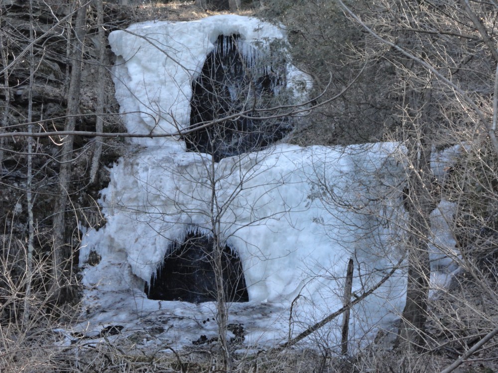 Does a monster live in there? 