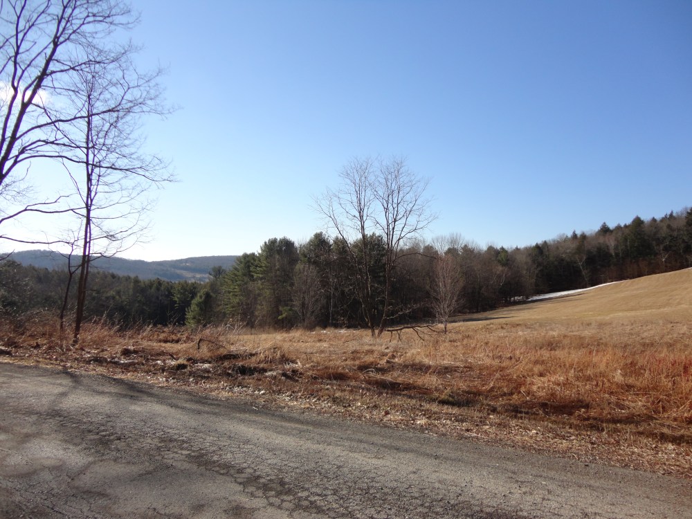 Love the rolling topography of the landscape. 