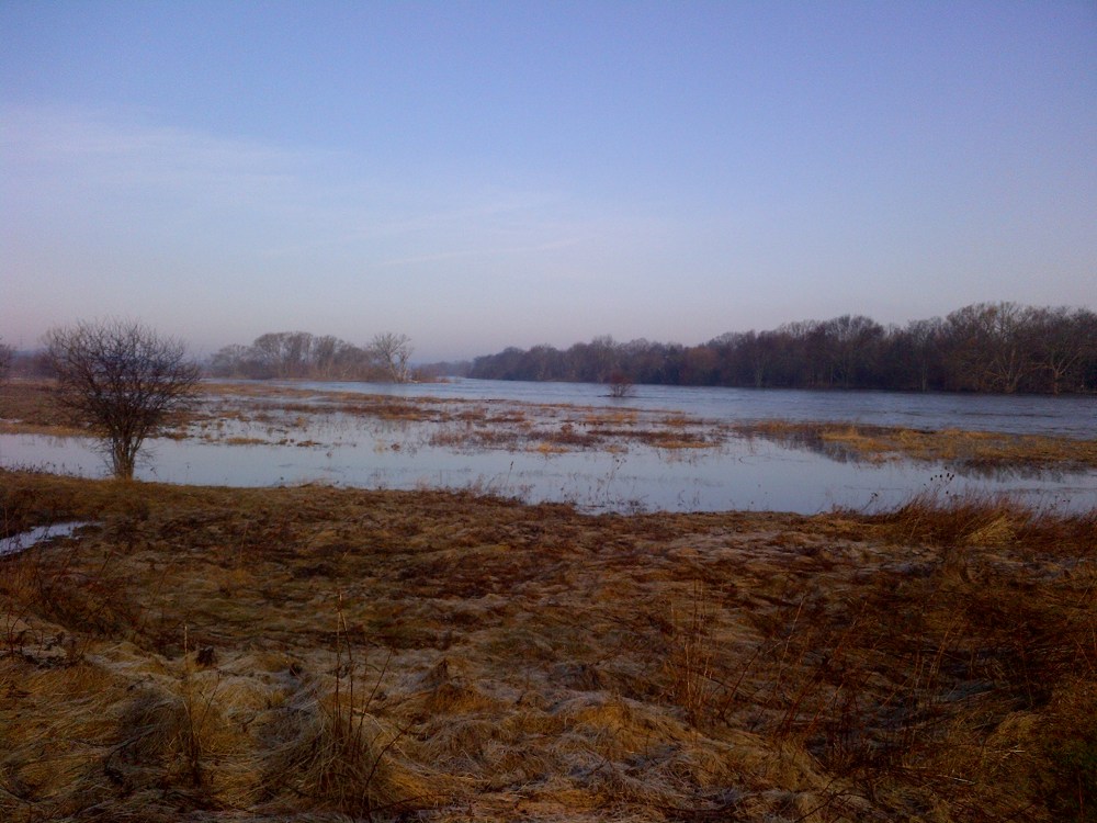 The Grand River spills over its banks in Cambridge, ON. 
