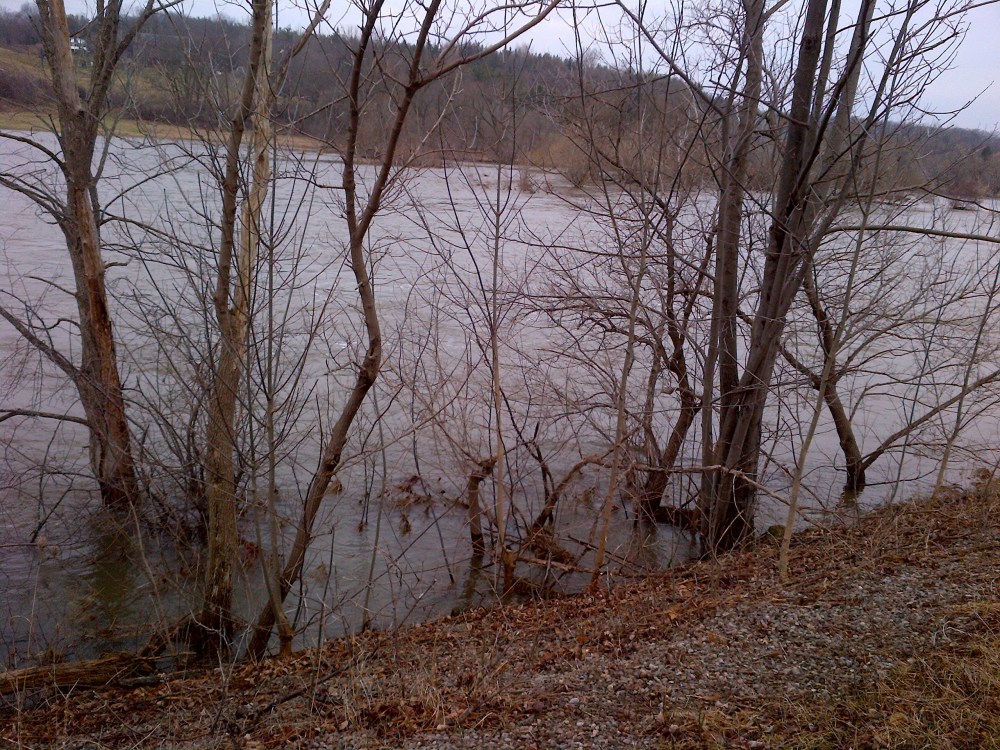 This year, the Grand River was flowing quite high and fast from a significant snowfall season. 