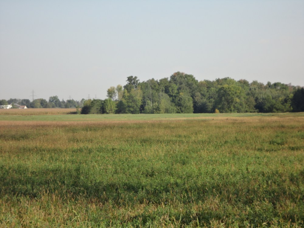 Farmland greets the eye along the trail. 