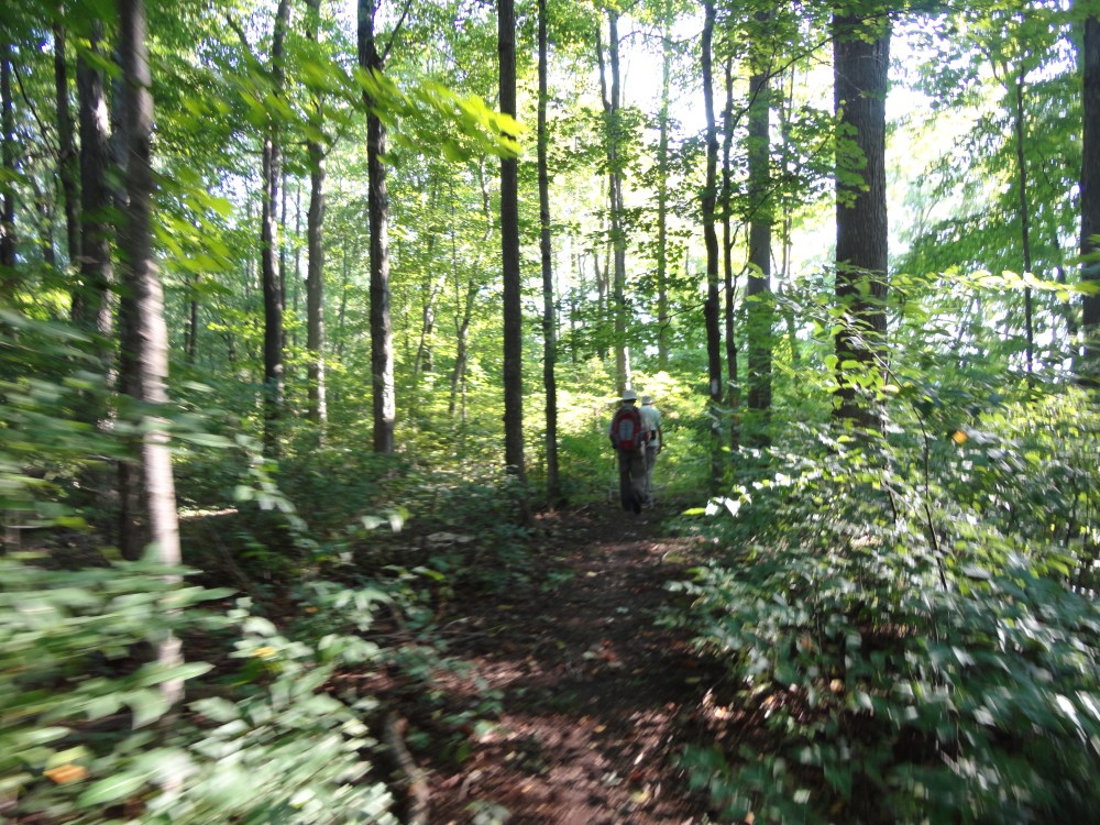 The trail also loops through some lovely forests. 