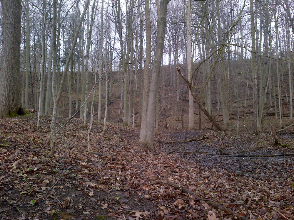 Nothing is growing, even though it is now May, because of the cold weather we've had this year. 