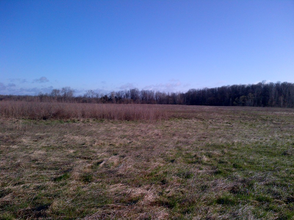 Quite the vast expanse. 