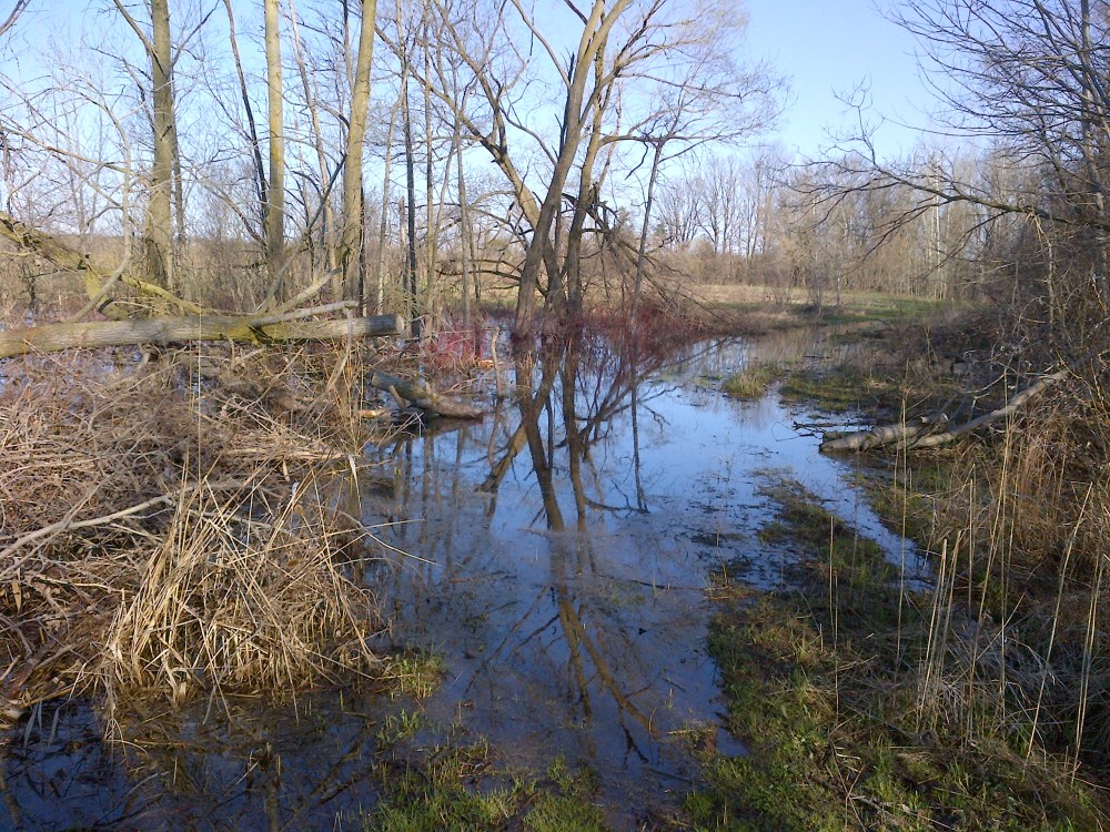 Excuse me, this floodplain is flooded. 
