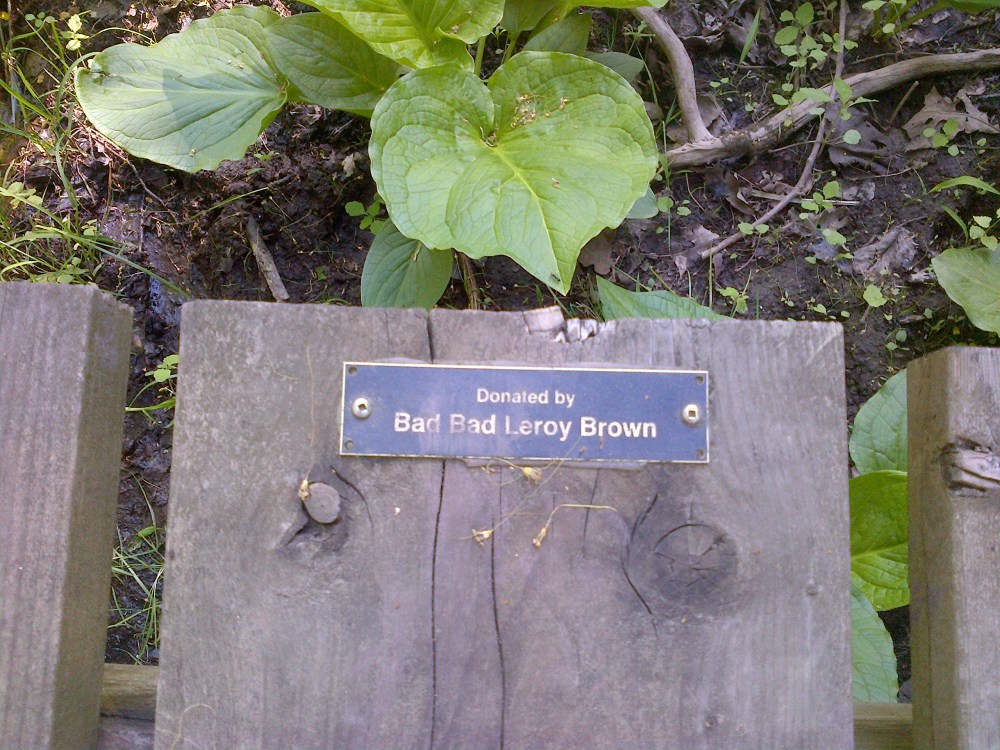 A very musical donor on this section of board walk. 