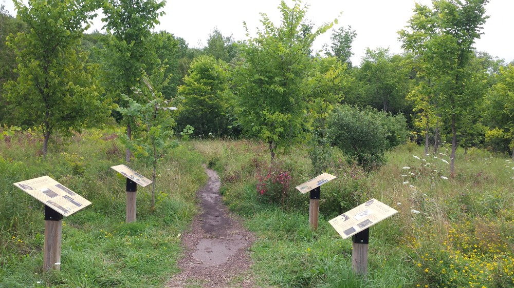 Interpretive displays at the entrance. 