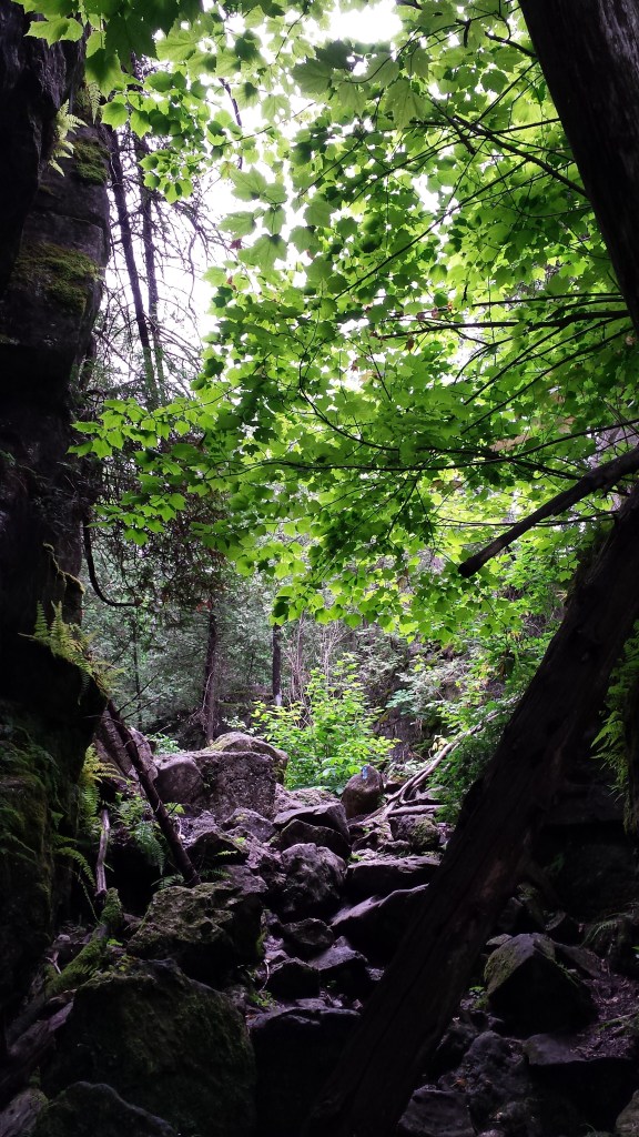 Some beautiful sights along the Metcalfe Crevice Side Trail. 