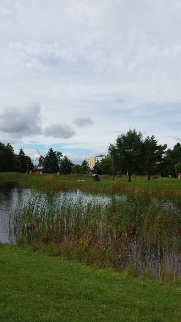 Looking out over the gardens. 