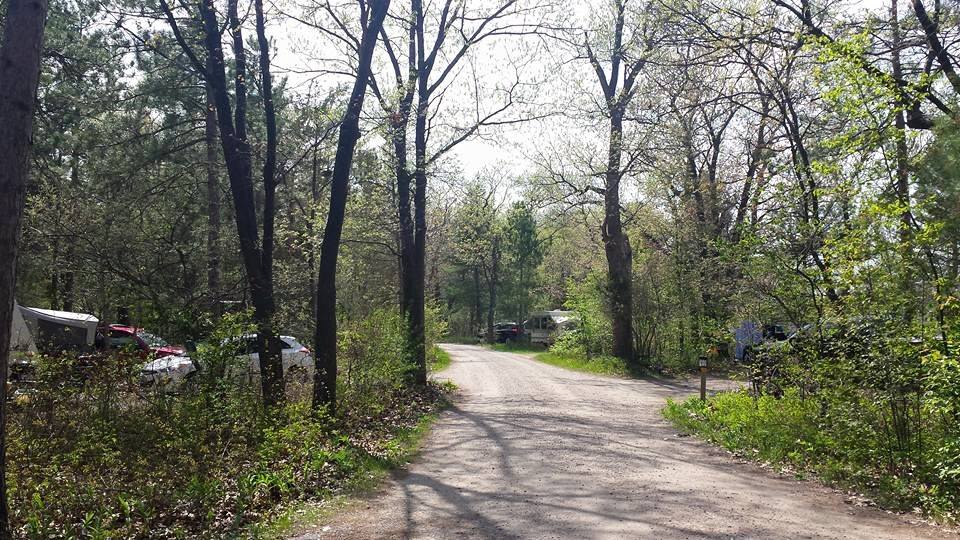 Camp sites in Pinery Provincial Park. 