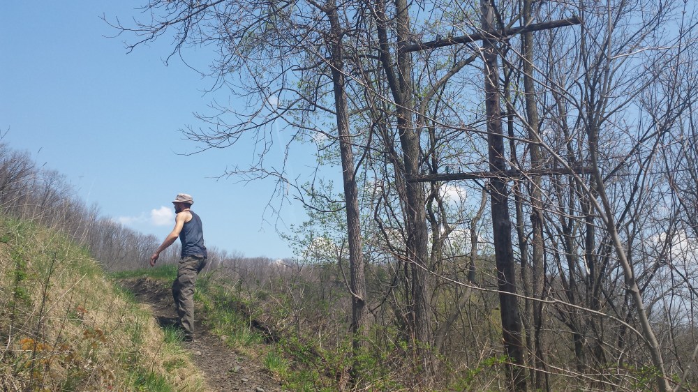 Climbing up to the trail proper from the road. 