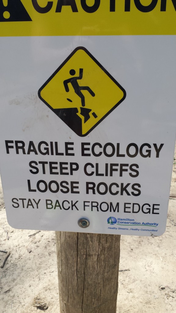 An important reminder that the ecology of cliffs can be fragile and vulnerable to human use. 