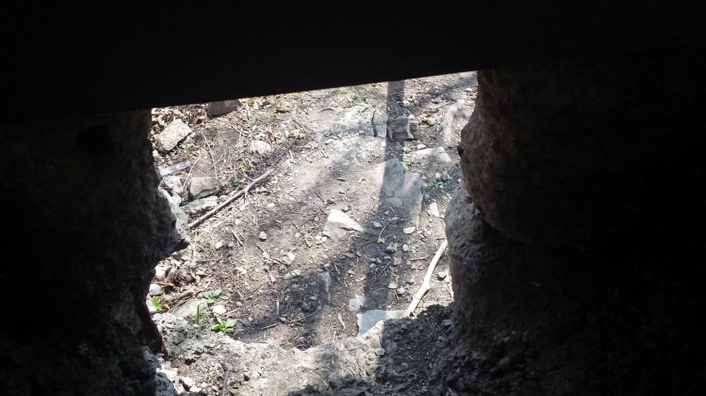 Finding neat little climbing opportunities is the best part of these hikes! 