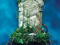 A Skinful of Shadows by Frances Hardinge